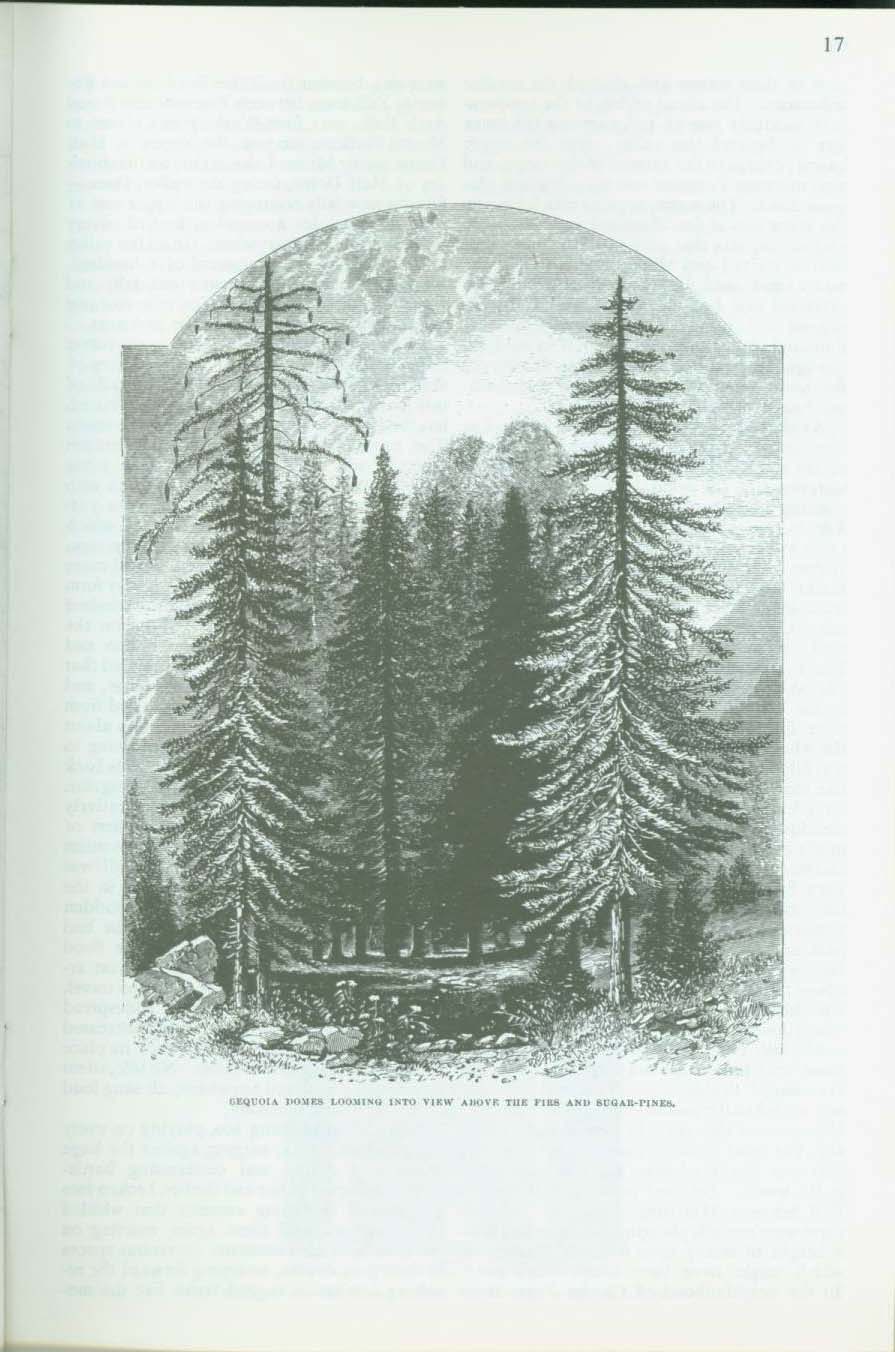 The Proposed Yosemite National Park--treasures & features, 1890. vis0003g